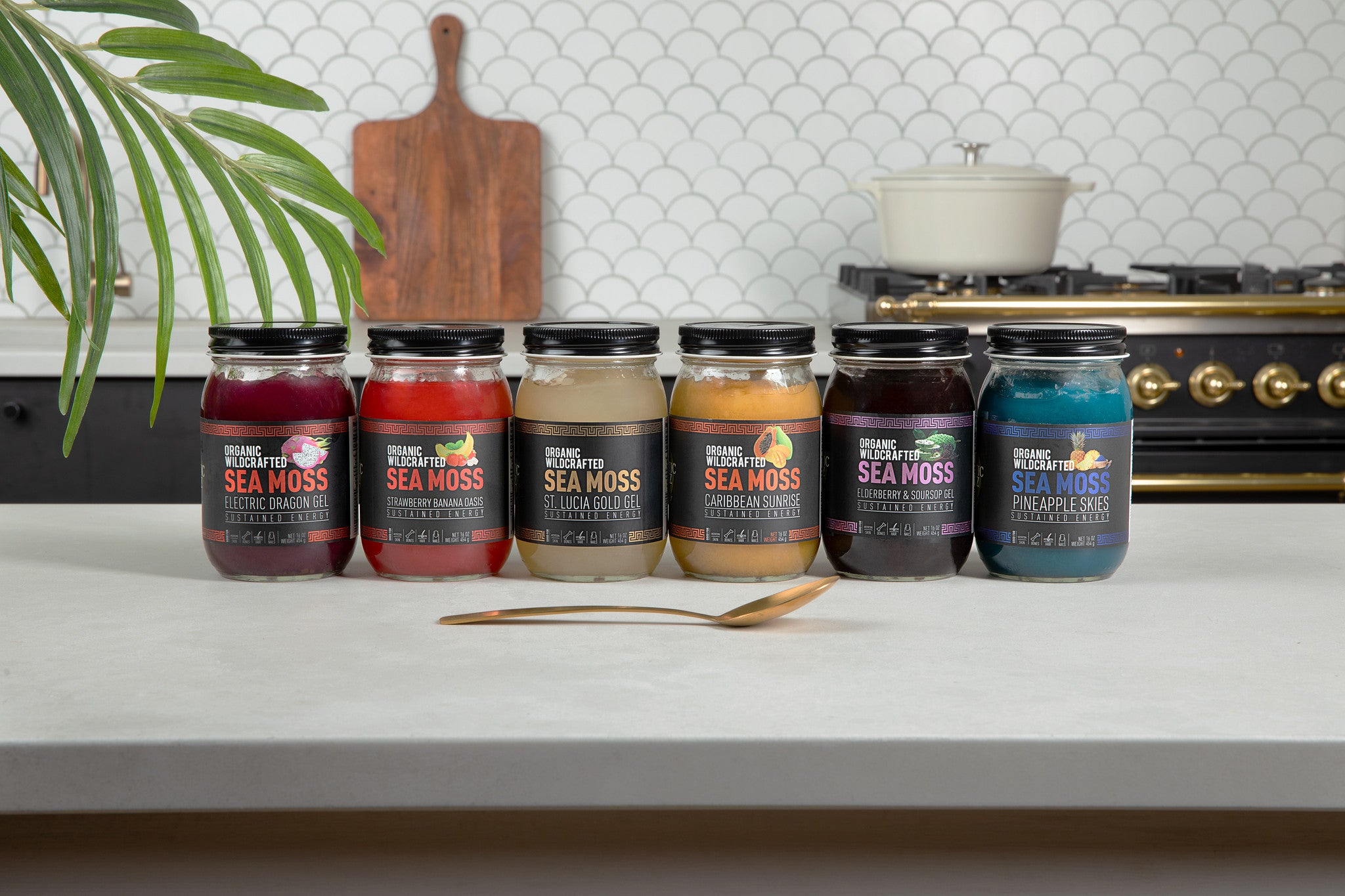 Holistic Vitalis: Bundle Deals for Wellness in 2025