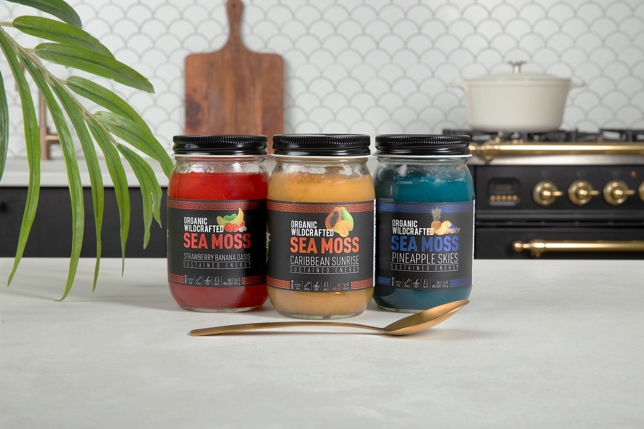 Tropical Trio Sea Moss Bundle | Holistic Vitalis