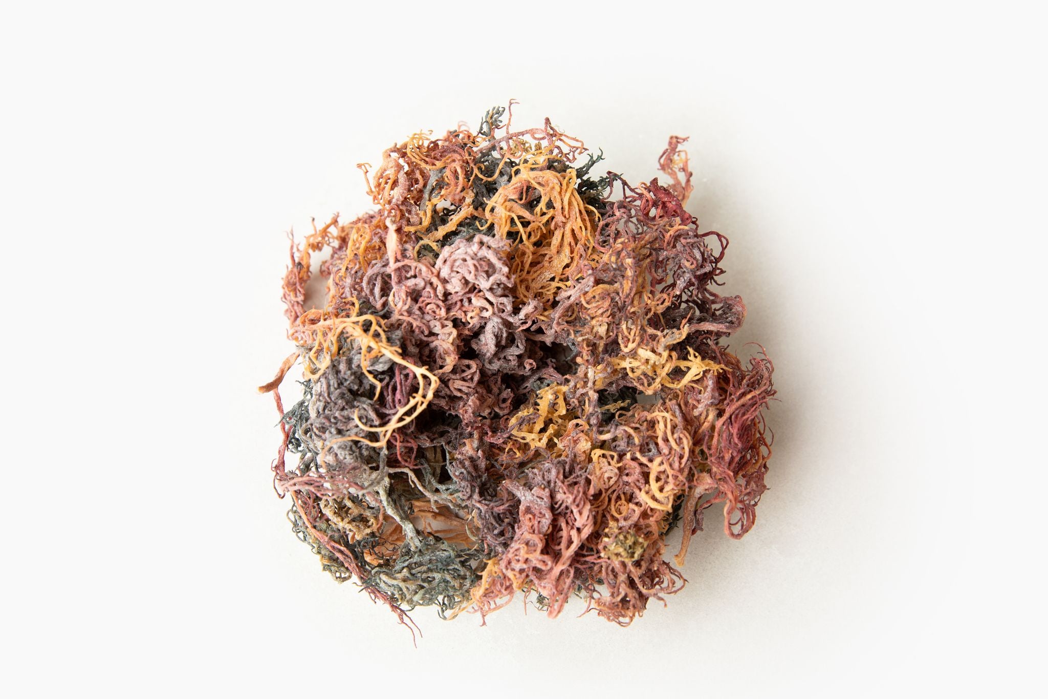 Raw Full Spectrum Sea Moss 4oz