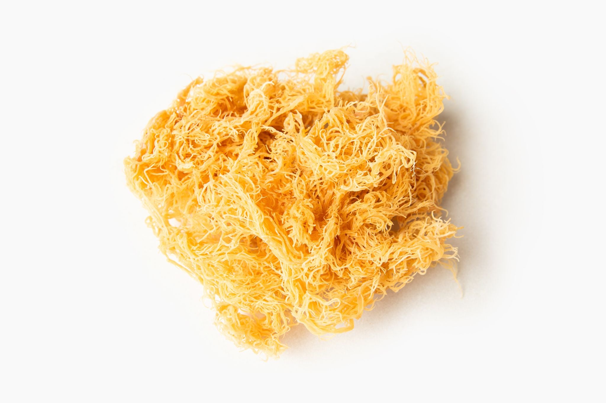 Raw St Lucia Gold Sea Moss 4 oz