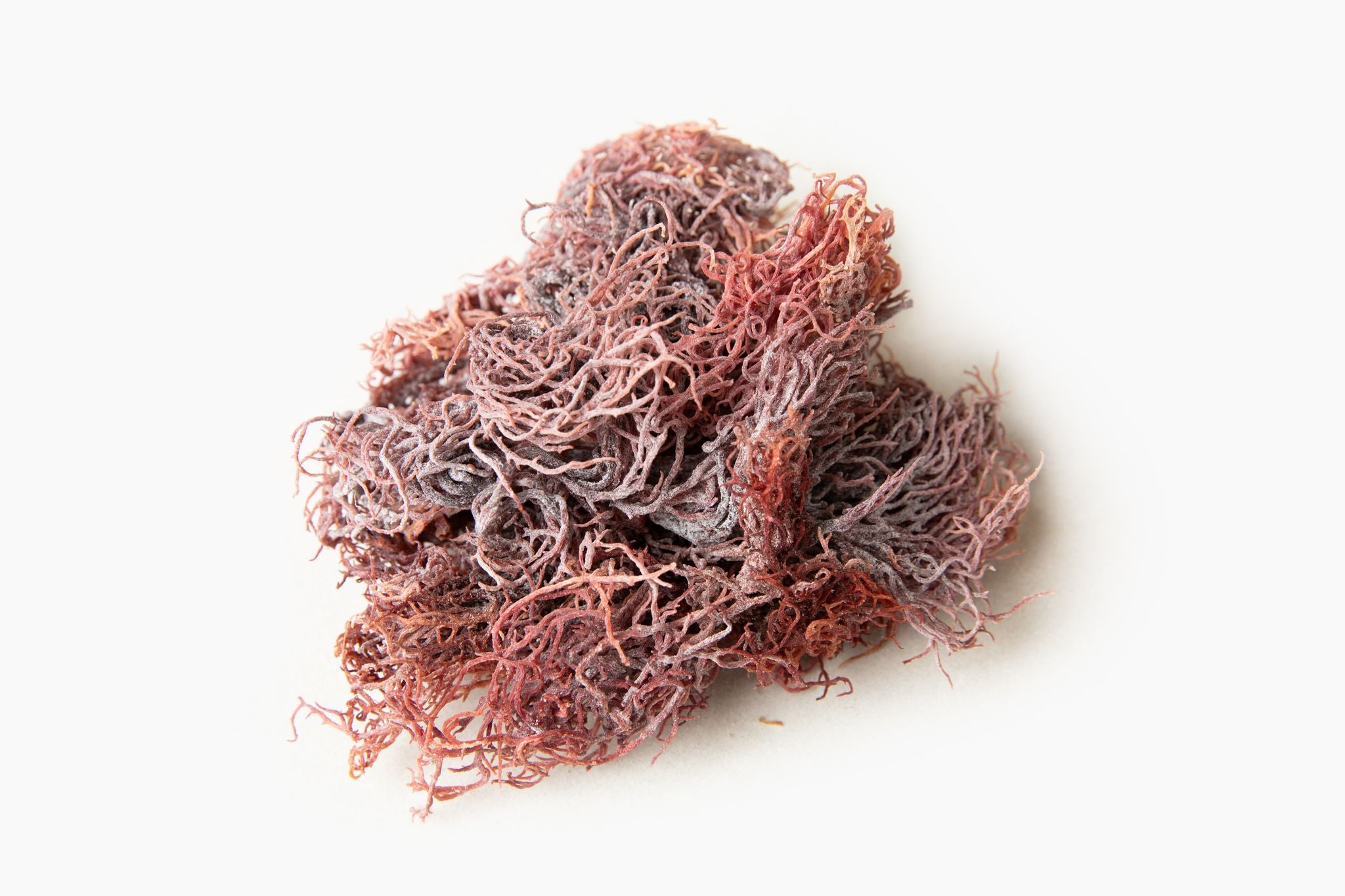 Raw Royal Purple Sea Moss 1 lb