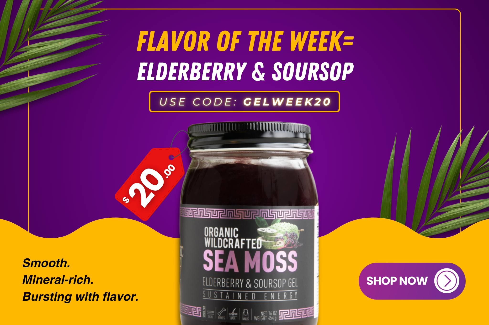 Elderberry & Soursop Sea Moss Gel