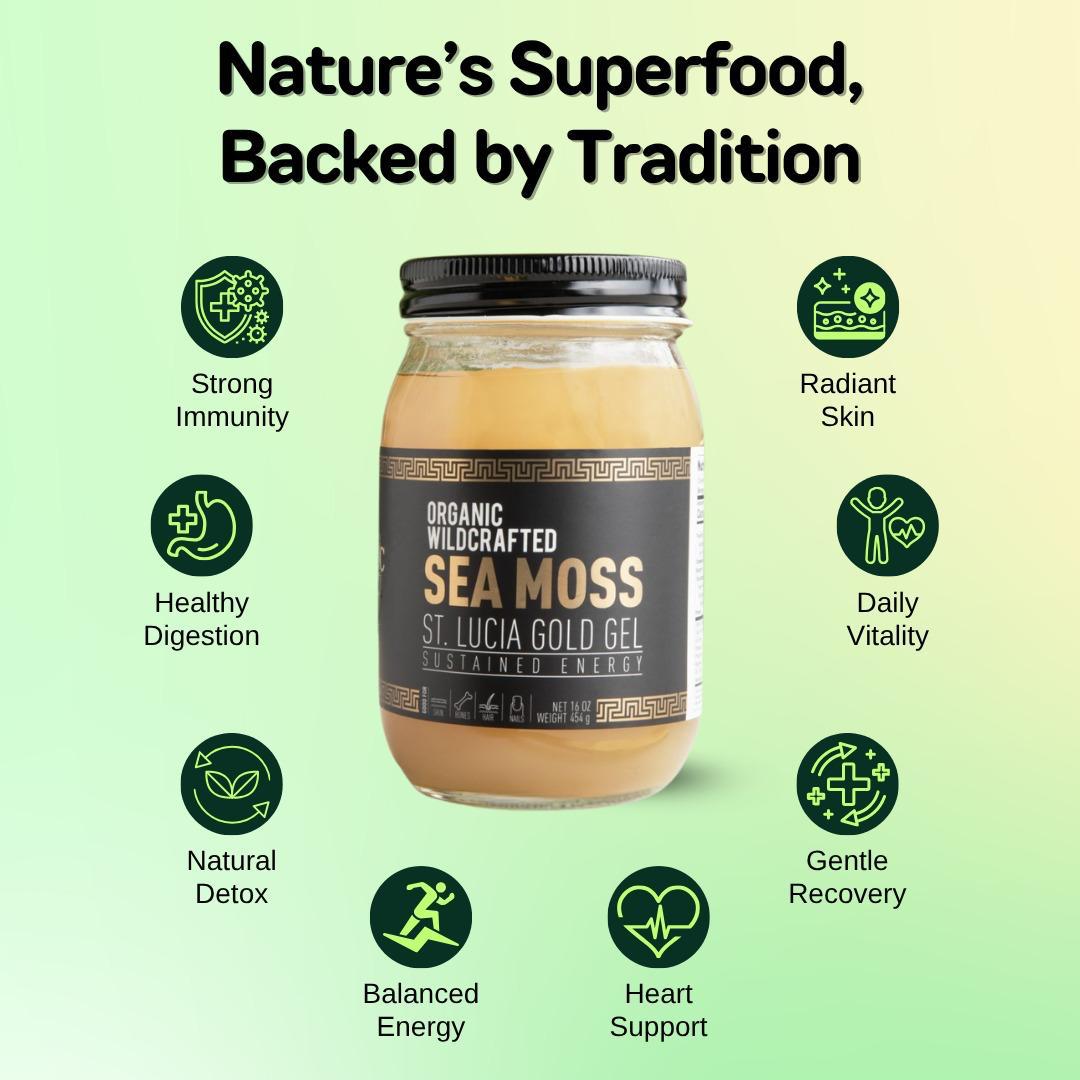 The Wellness Duo Bundle – Holistic Vitalis