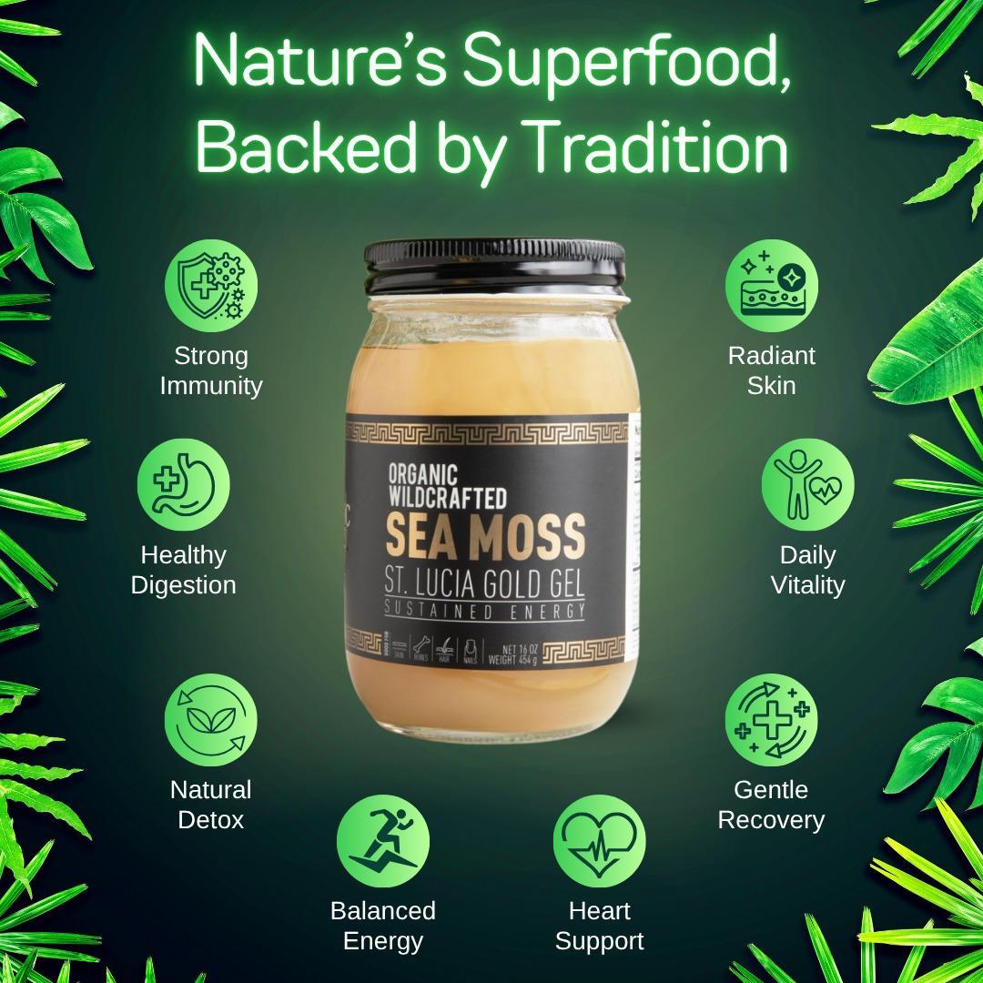 ミネラルソリューションズ　ハワイアンノニ　グリーンエクストラクト　モデーア Pineapple Sea Moss Gel - Tropical | Holistic Vitalis