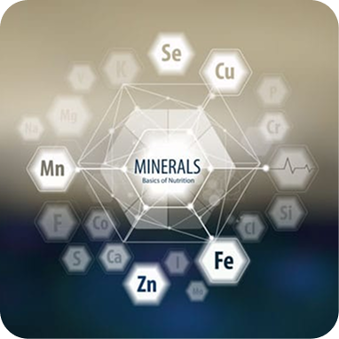 Trace Minerals