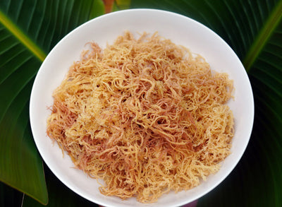 Wildcrafted Sea Moss